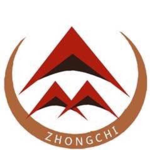 ɽ����Ӎ�ƿƼ����޹�˾����I(y��)��(bi��o)־